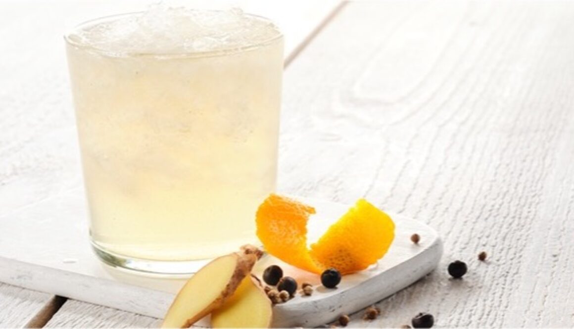 pacojet-gin