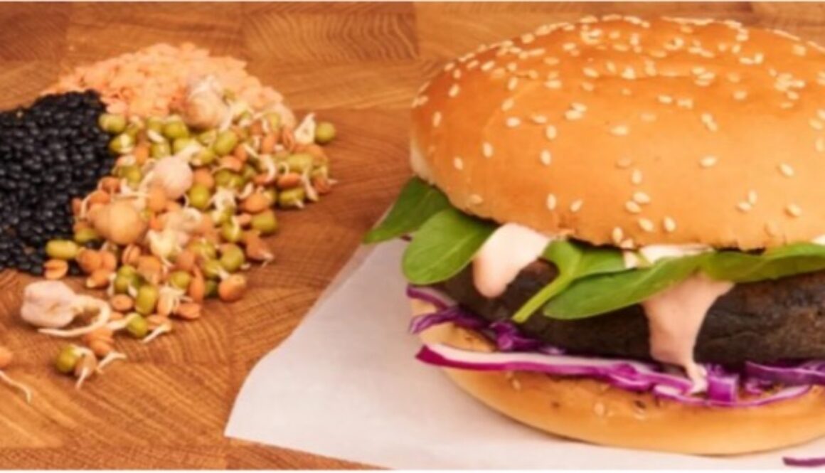 vegansky-sosovicovy-burger