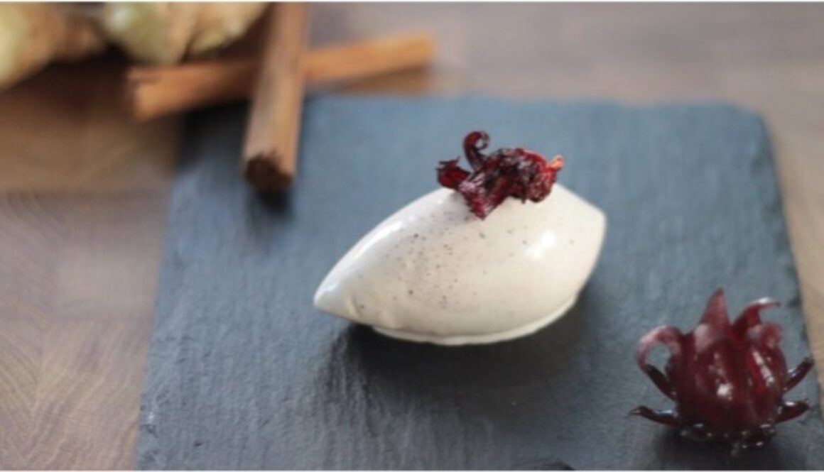 zazvorovo-skoricova-zmrzlina-s-ibistekom